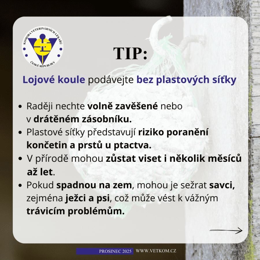 2025-12-08-06. lojové koule pro ptáky.png